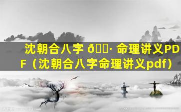 沈朝合八字 🕷 命理讲义PDF（沈朝合八字命理讲义pdf）